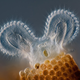 Image for article titled Parasites, deadly bugs and fungi are more beautiful than you could possibly imagine
